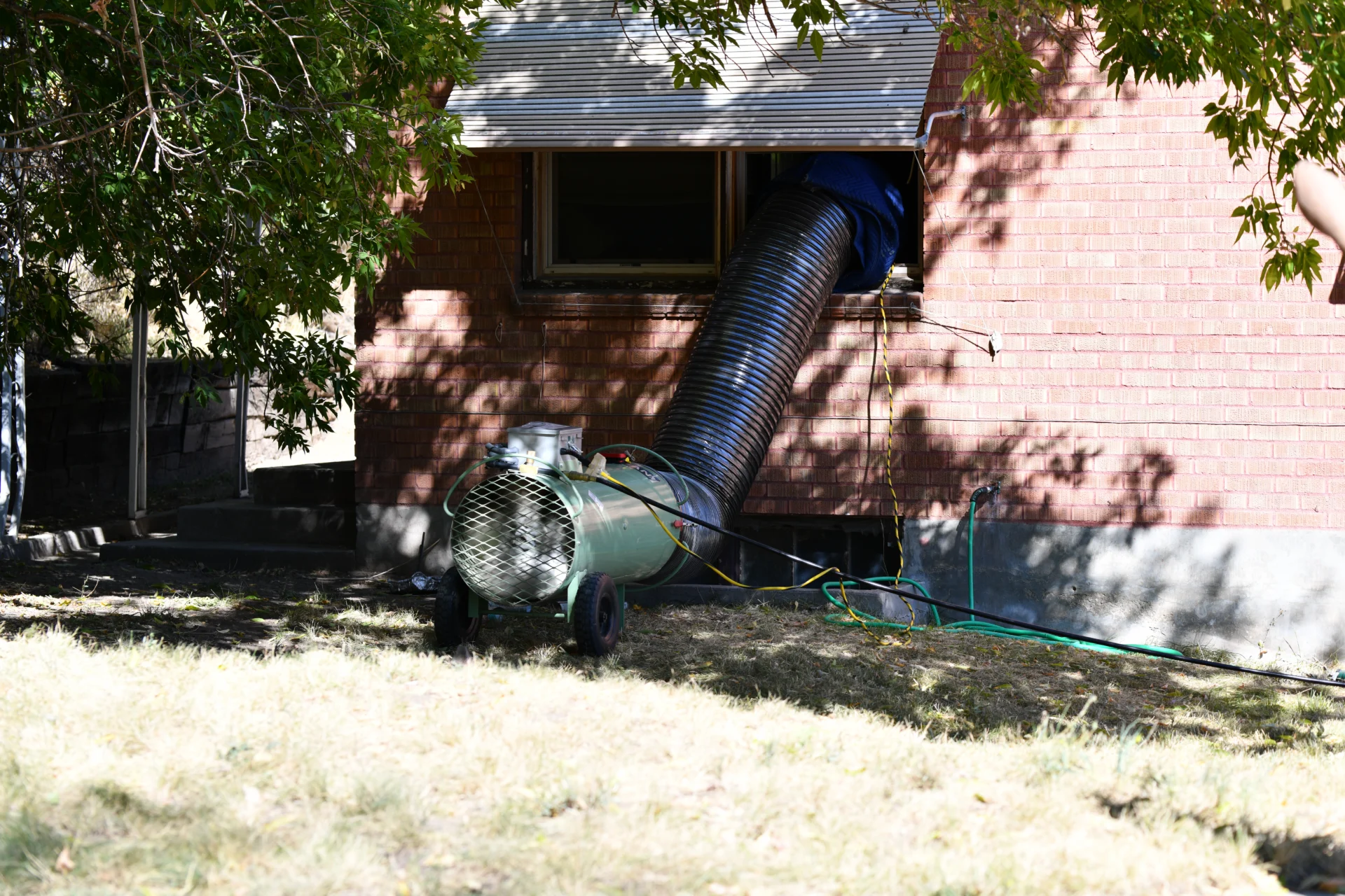 Idaho Falls Home Bed Bug Eradication for Elderly Client