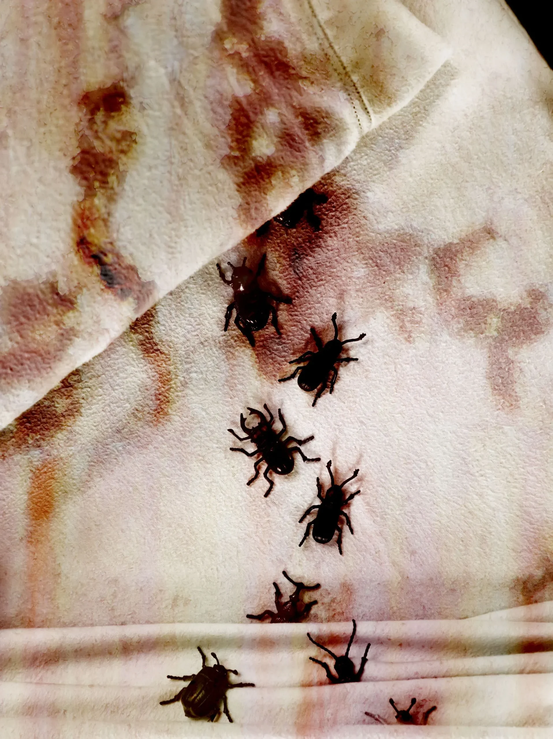 3 Common Signs You Have Bed Bugs in Your Home